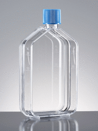 Corning(R) Primaria(TM) 75cm2 Rectangular Straight Neck Cell Culture Flask with Vented Cap
