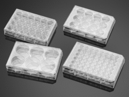 Falcon 12 Well Clear Flat Bottom, Not Treated Multiwell Cell Culture Plate with Lid, Non-Pyrogenic, Sterile, Individually Wrapped, 50/Case