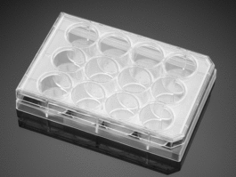 Falcon 24 Well TC-Treated Polystyrene Cell Culture Insert Companion Plate, with Lid, Sterile, 1/Pack, 50/Case