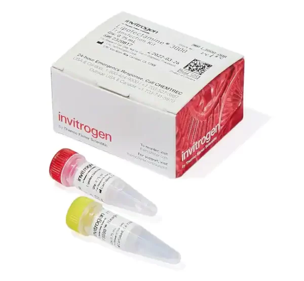 Lipofectamine™ 3000 Transfection Reagent