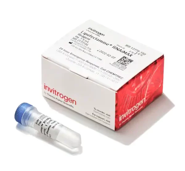 Lipofectamine™ RNAiMAX Transfection Reagent