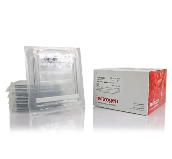 Invitrogen™ NuPAGE™ 4 to 12%, Bis-Tris, 1.0–1.5 mm, Mini Protein Gels