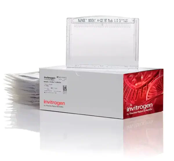 Invitrogen™ NuPAGE™ 4 to 12%, Bis-Tris, 1.0 mm, Midi Protein Gel, 26-well SKU: wg1403box