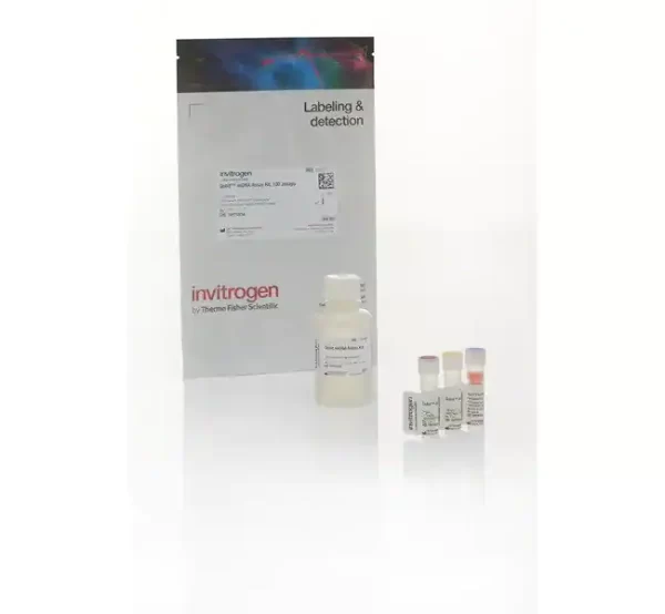 Invitrogen Qubit Ssdna Assay Kit Adva Tech Group Inc