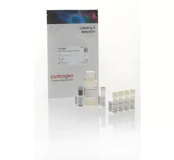 Invitrogen™ Qubit™ RNA high sensitivity (HS), broad range (BR) and extended range (XR) Assay Kits SKU: q32852