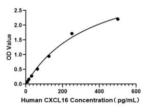 Human CXCL16 ELISA Kit