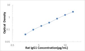 Rat IgG1 ELISA Kit