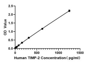 Human TIMP-2 ELISA Kit
