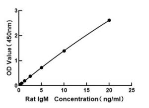Rat Immunoglobulin M ELISA Kit (IgM)