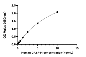 Human Caspase 14 (CASP14) ELISA Kit
