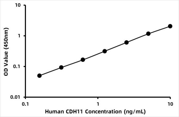 Human Cadherin-11 (CDH11) ELISA Kit