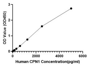 Human Carboxypeptidase N1 (CPN1) ELISA Kit