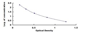 Human Mitochondrial Open Reading Frame Of The 12S rRNA-c ELISA Kit (MOTS-c)