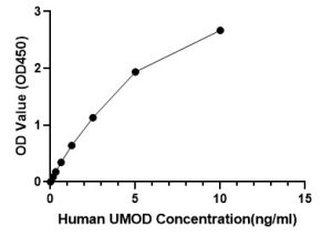 Human Uromodulin ELISA Kit (UMOD)