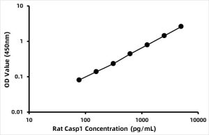 Rat Caspase-1 (CASP1) ELISA Kit