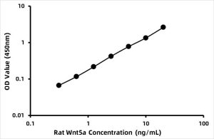 Rat Wingless Type MMTV Integration Site Family, Member 5A ELISA Kit (WNT5A)