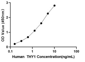 Human Thy-1 membrane glycoprotein (THY1) ELISA Kit