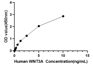 Human WNT3A ELISA Kit