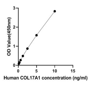 Human Collagen XVII/COL17A1 ELISA Kit