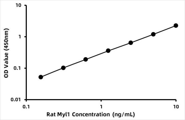 Rat Myosin light chain 1/3, skeletal muscle isoform (Myl1) ELISA Kit