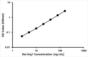 Rat Arginase-1 (Arg1) ELISA Kit