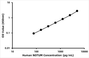 Human Protein notum homolog (NOTUM) ELISA Kit