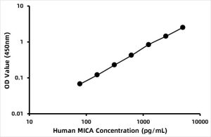 Human Major histocompatibility complex class I chain-related gene A (MICA) ELISA Kit