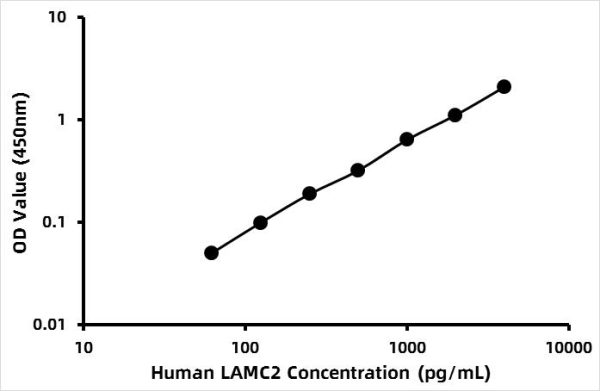 Human Laminin subunit gamma-2 (LAMC2) ELISA Kit