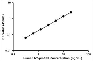 Human N-Terminal Pro-Brain Natriuretic Peptide ELISA Kit (NT-ProBNP)