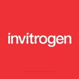 NeutrAvidin, Protein, FITC, Invitrogen™ SKU: 31006