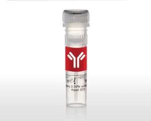 GibcoHuman EGF Recombinant Protein X