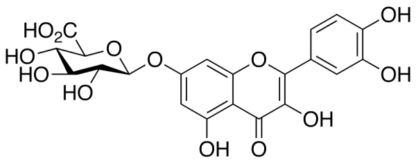 Quercetin 7-O-beta-D-Glucuronide