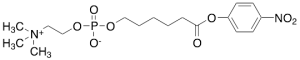 6-Carboxyhexylphosphocholine p-Nitrophenyl Ester