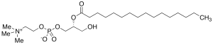 2-Palmitoyl-sn-glycero-3-phosphocholine