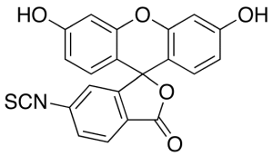Fluorescein 6-Isothiocyanate, Isomer 2, 95%