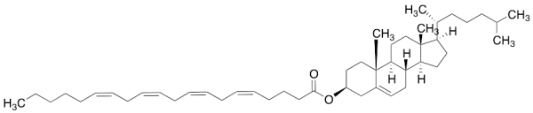 Cholesteryl Arachidonate