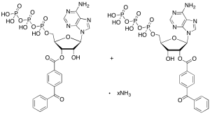 BzATP Ammonium Salt (Mixture of 2'-3' isomers)
