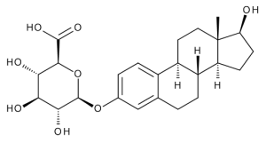17Beta-Estradiol 3-Beta-D-Glucuronide