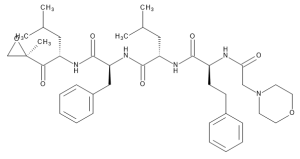 Carfilzomib