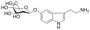 Serotonin Beta-D-Glucuronide