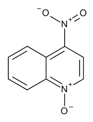 4-Nitroquinoline N-Oxide