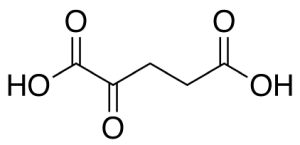 2-Ketoglutaric Acid