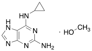 N6-Cyclopropyl-9H-purine-2,6-diamine Methanolate