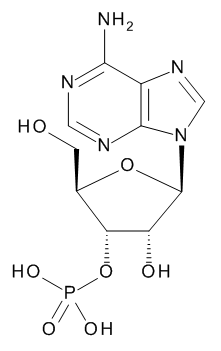 Adenosine-3'-monophosphate