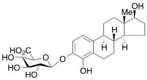 4-Hydroxyestradiol 3-O-b-D-Glucuronide