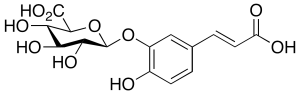 Caffeic Acid 3-beta-D-Glucuronide