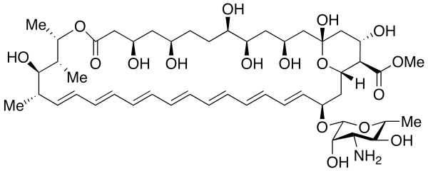 Amphotericin B Methyl Ester (>80%)