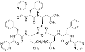 Bortezomib Trimer