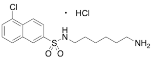 N-(6-Aminohexyl)-5-chloro-2-naphthalenesulfonamide Hydrochloride