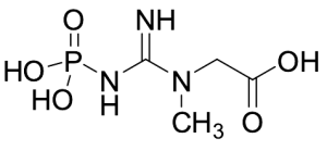 Creatine Phosphate (Phosphocreatine), >85%
